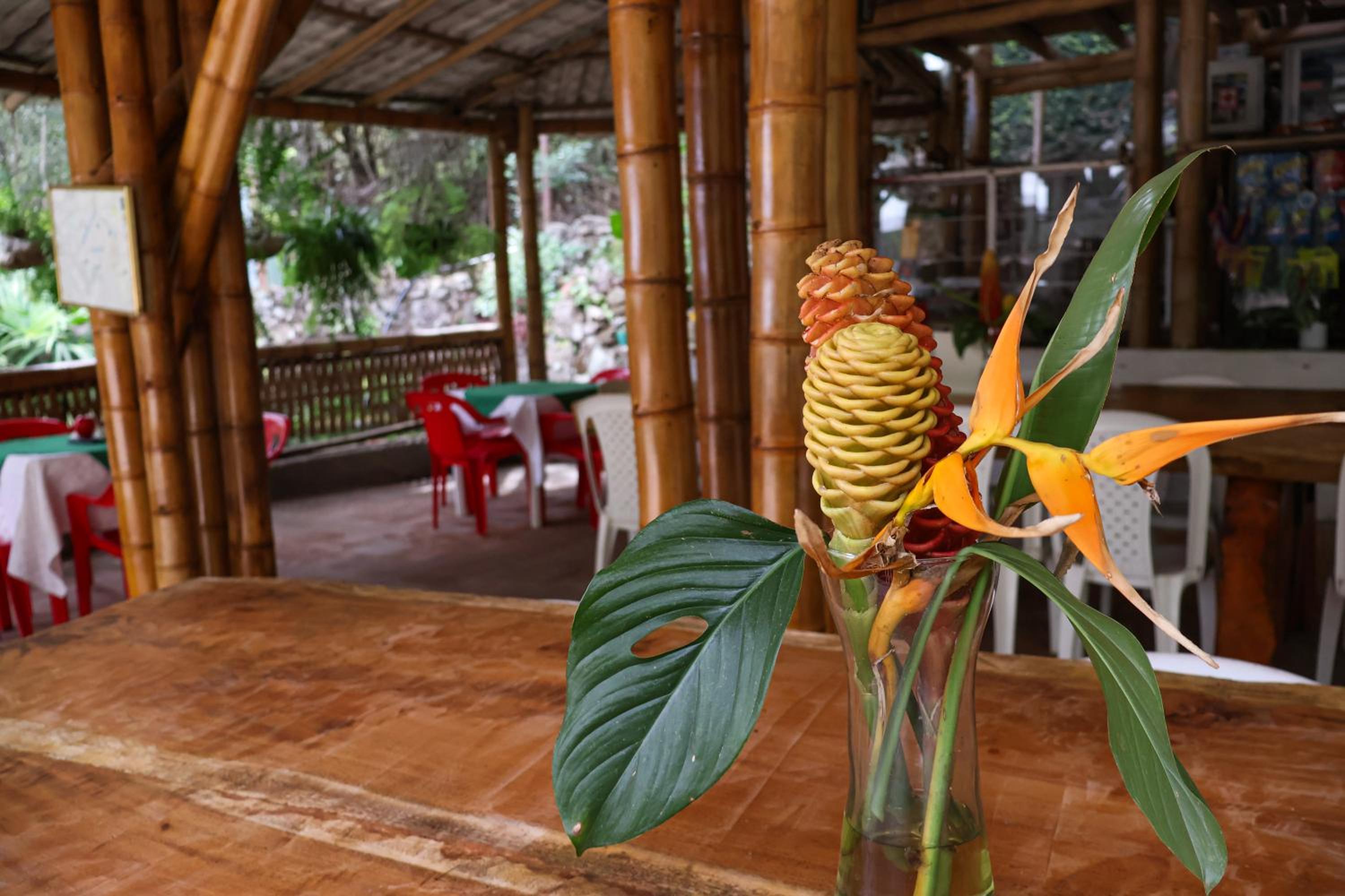 Alojamiento rural Ecoparque La Motilona Paicol, Huila - Cabaña Yanay