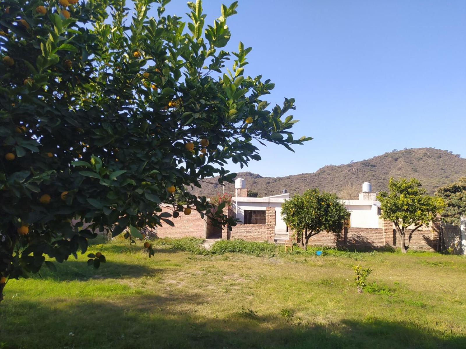 Hermanos Castillo Jerez