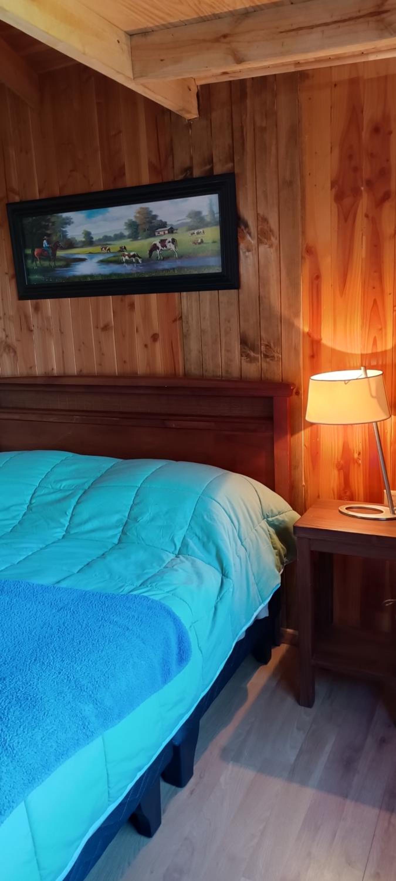 Hostel Calafquen Adventure Coñaripe
