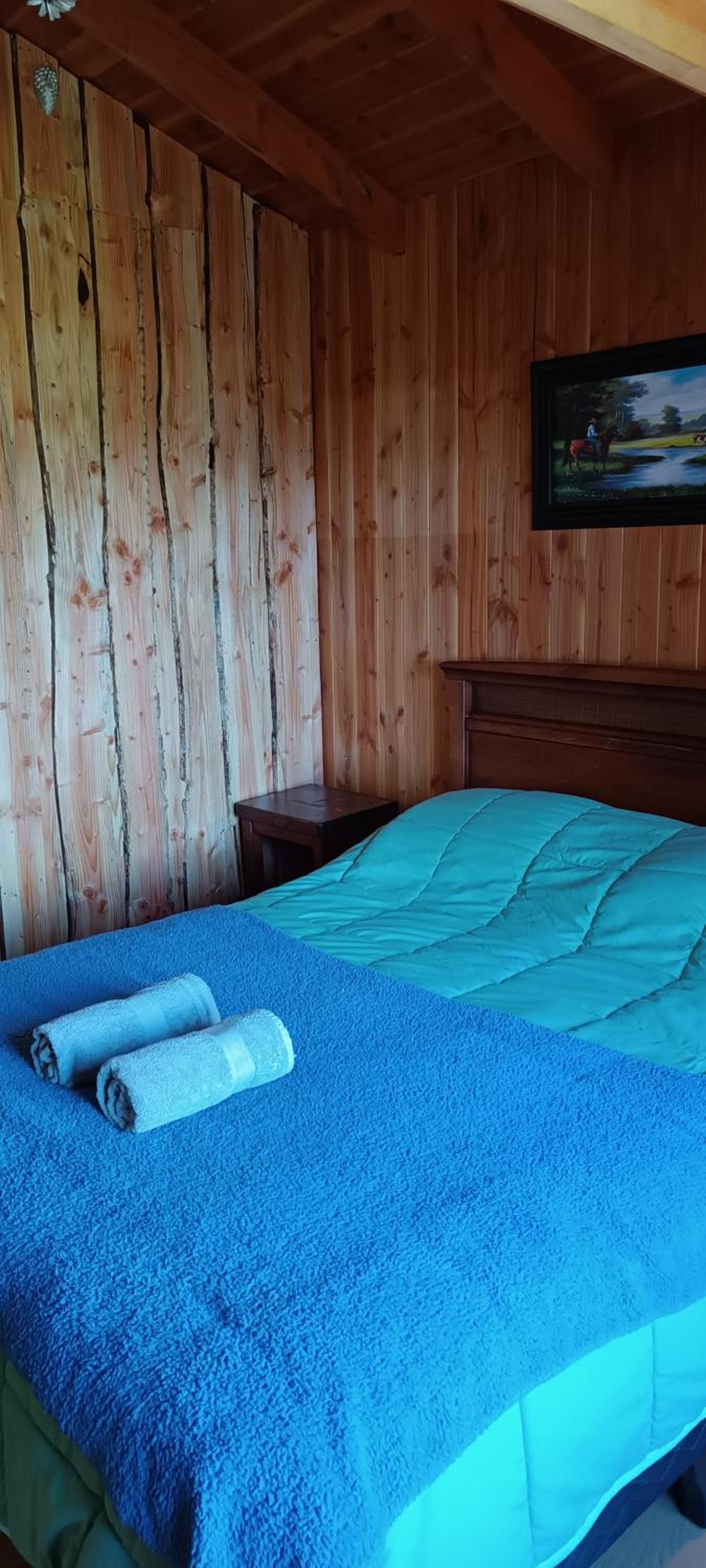 Hostel Calafquen Adventure Coñaripe