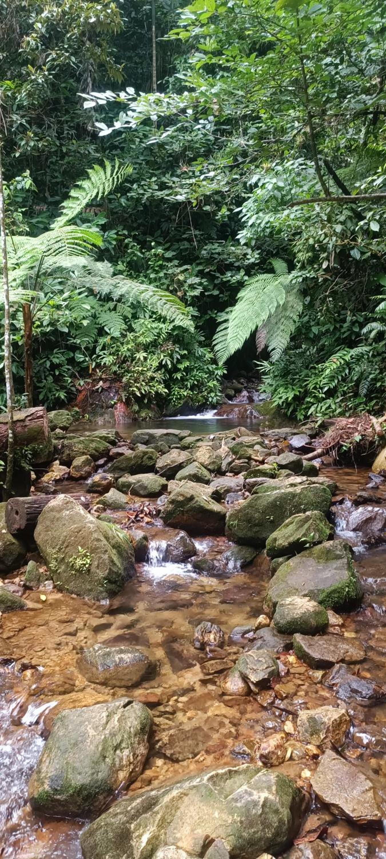Nature Lodge view 5
