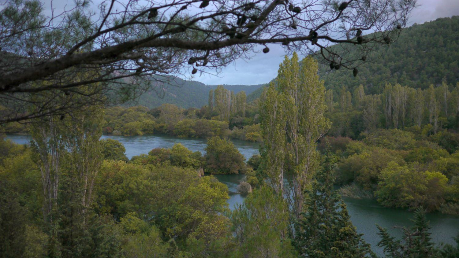 Photo 41