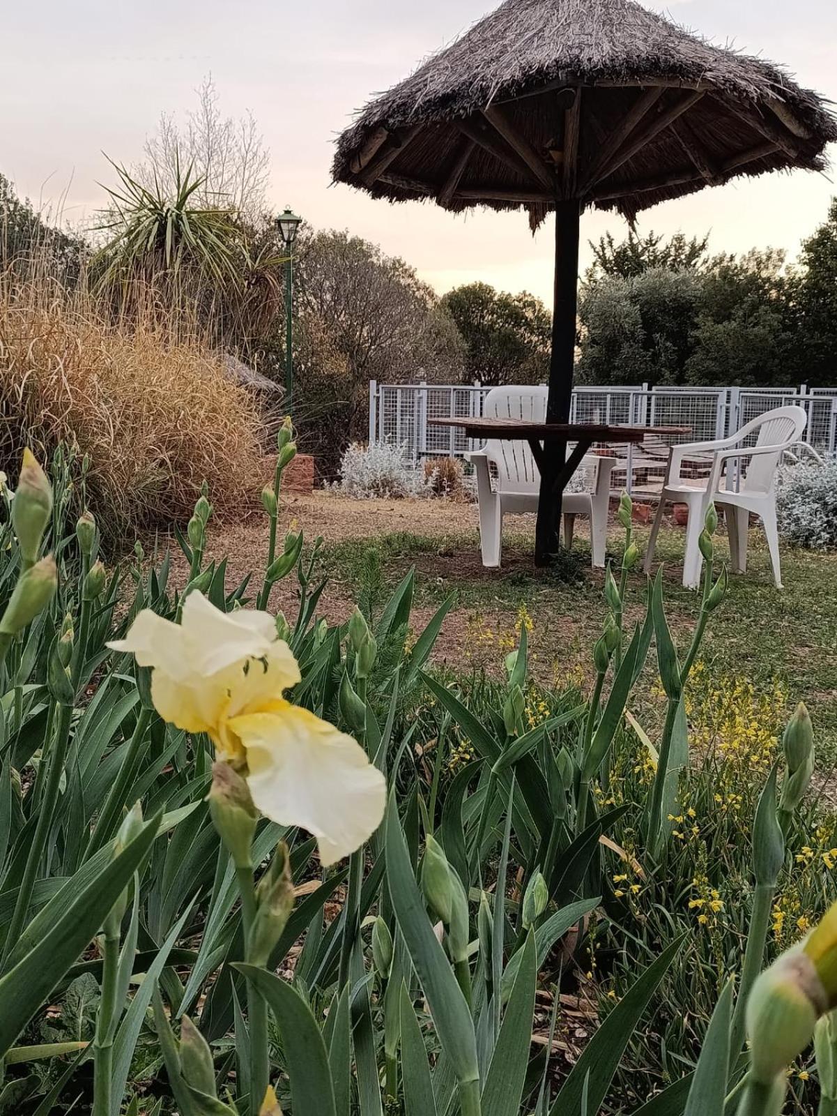 Cabañas Dalga Inn