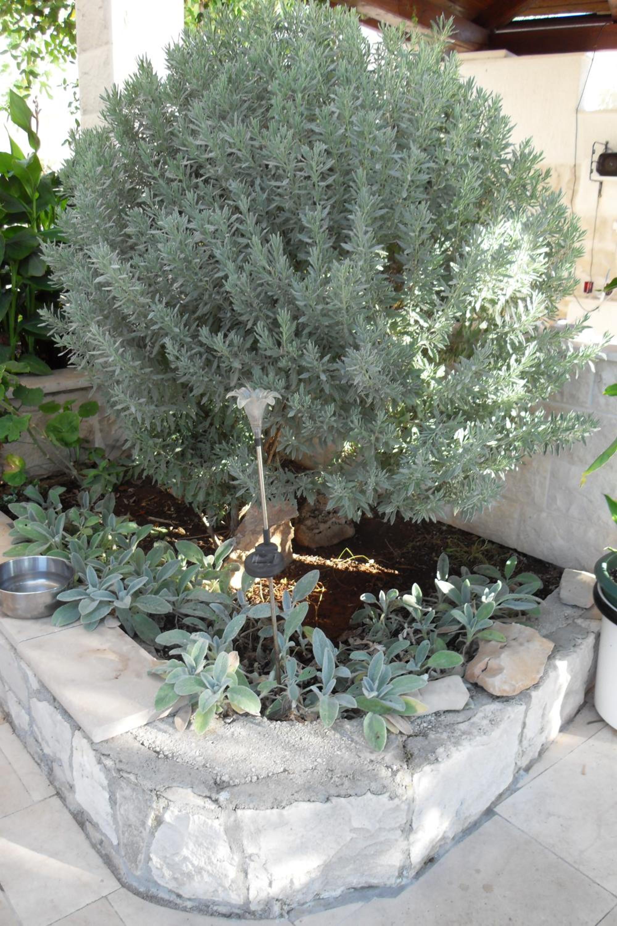 Photo 45