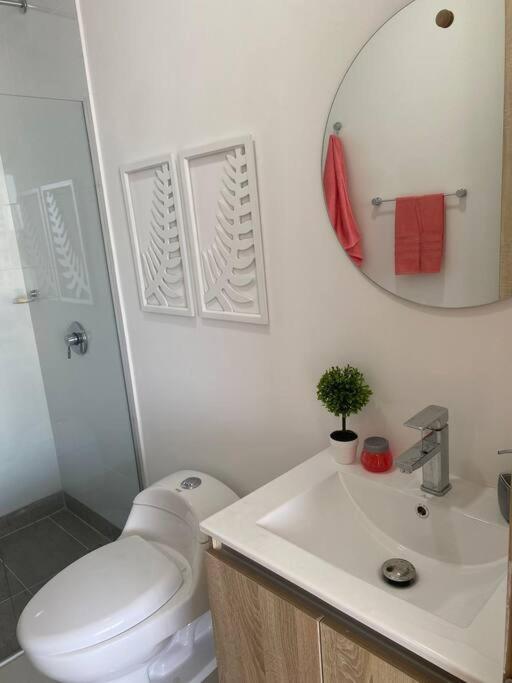 Stunning Oceanview best location 3br 4baths