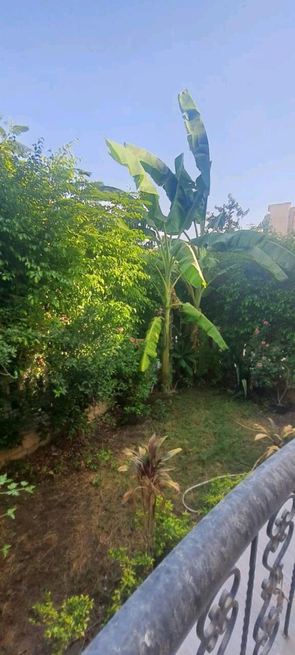 gardenia compound big apartment