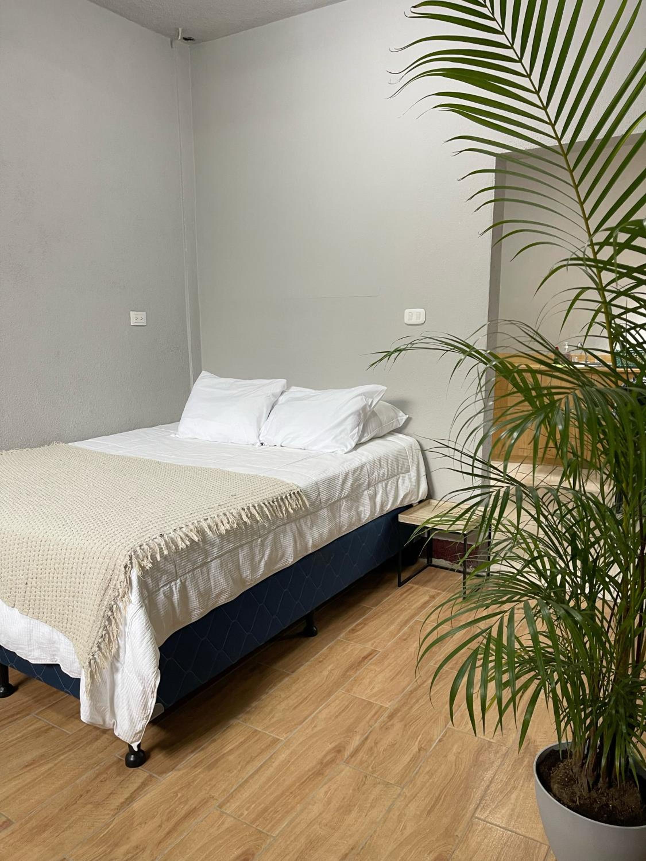 Residencia Boho