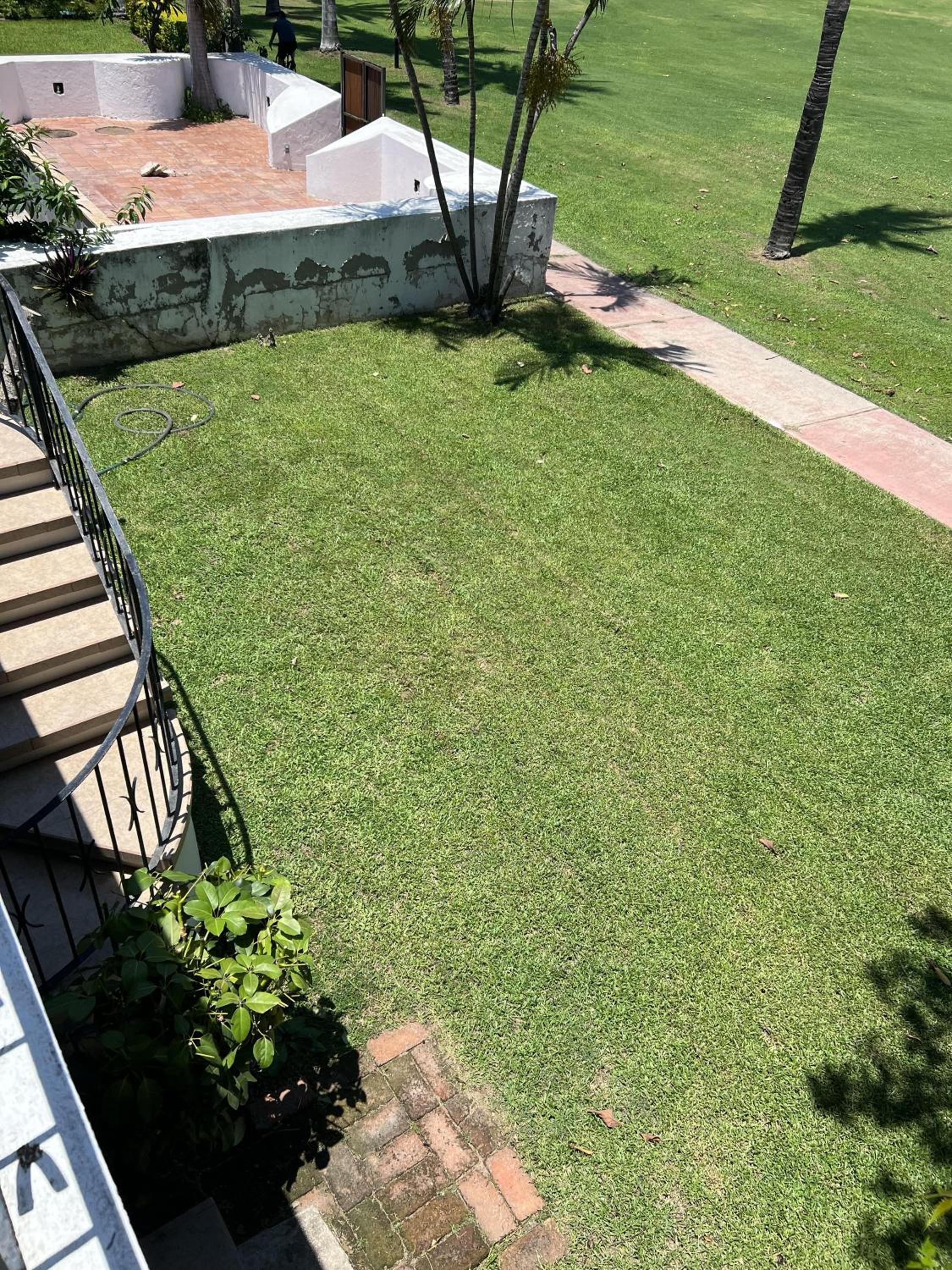 Photo 26