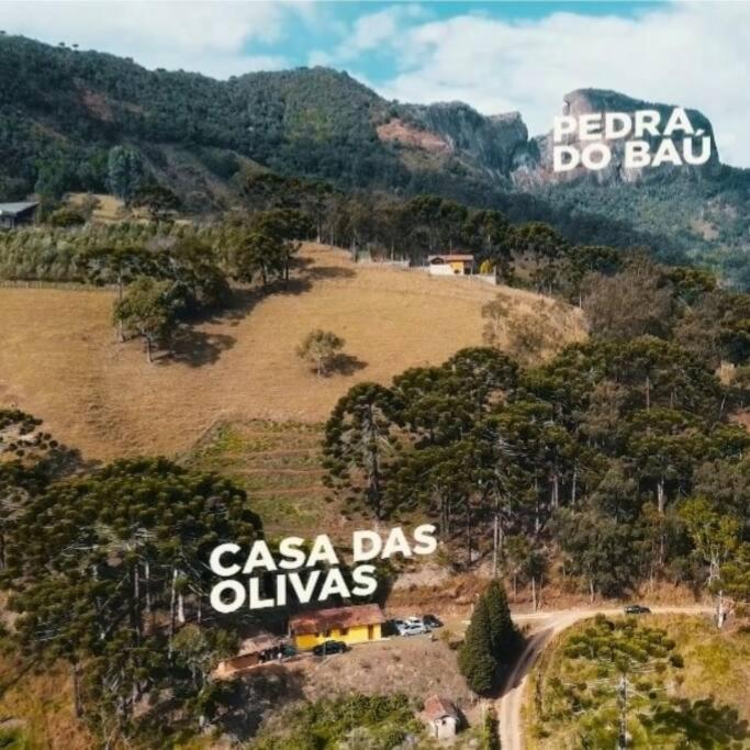 Casa das Olivas
