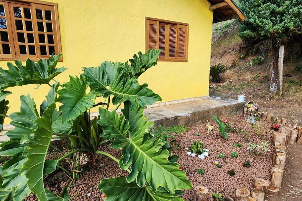 Casa das Olivas