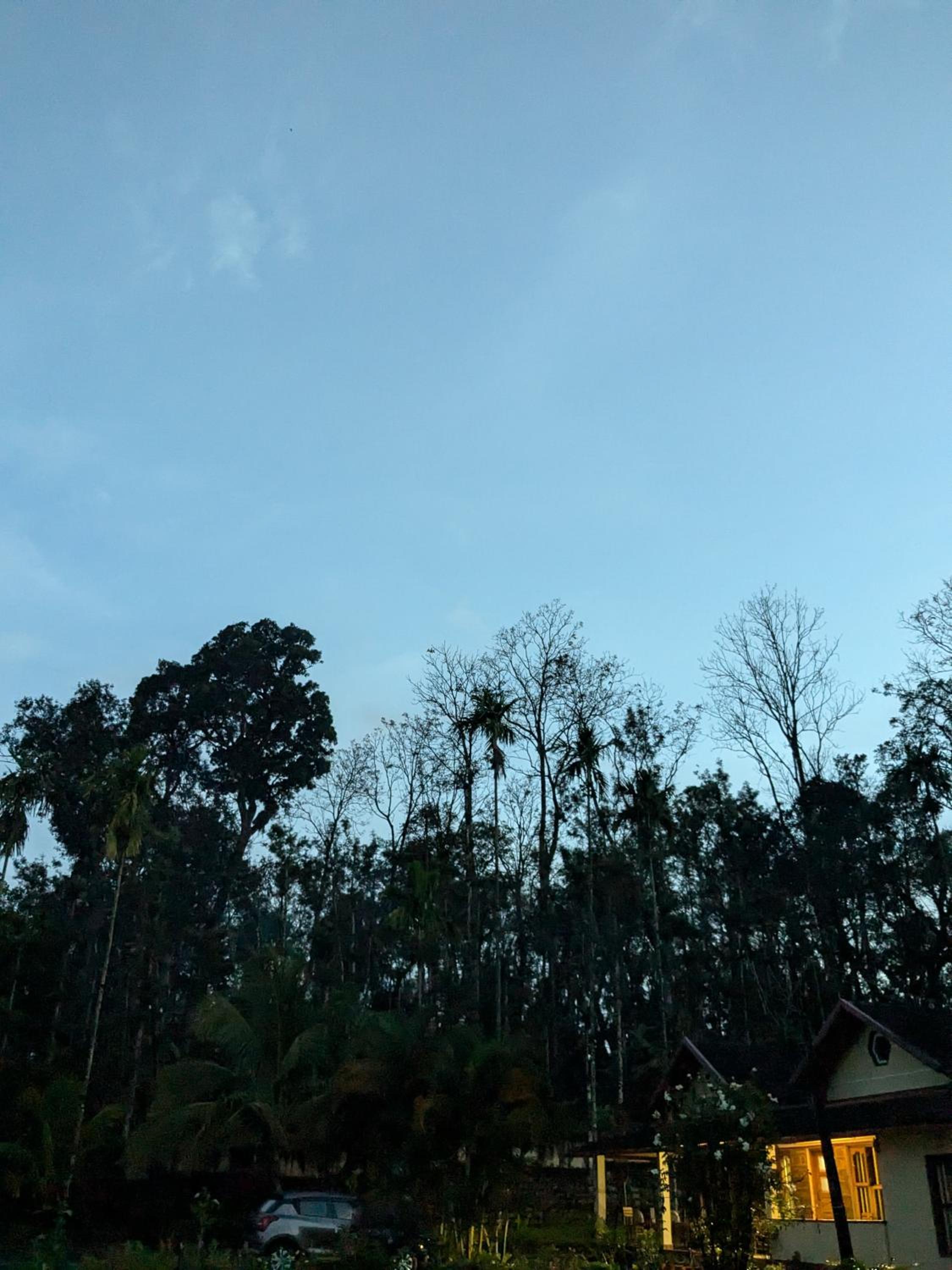 Halli Bailu Homestay