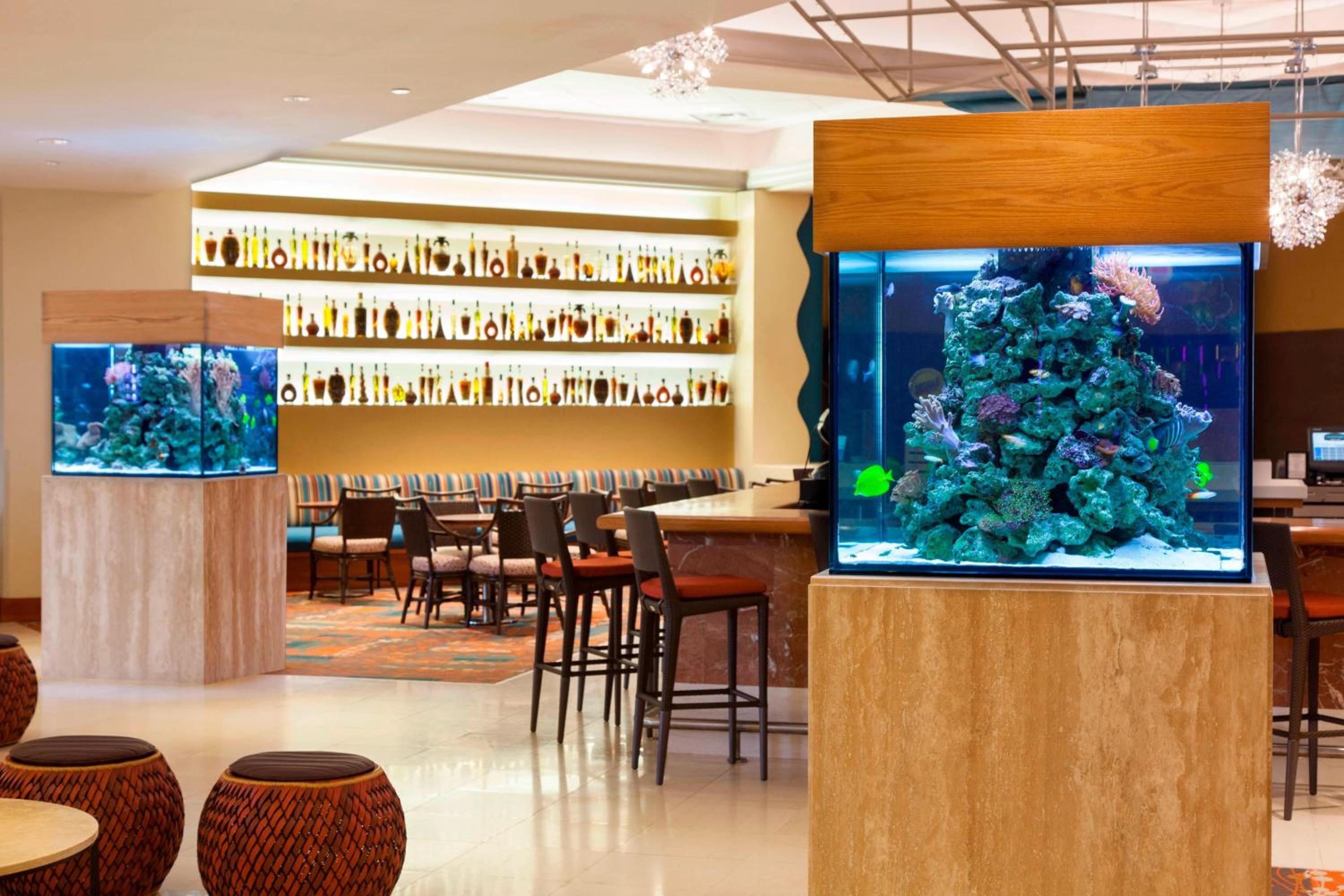 Courtyard by Marriott Isla Verde Beach Resort - Property Image 33