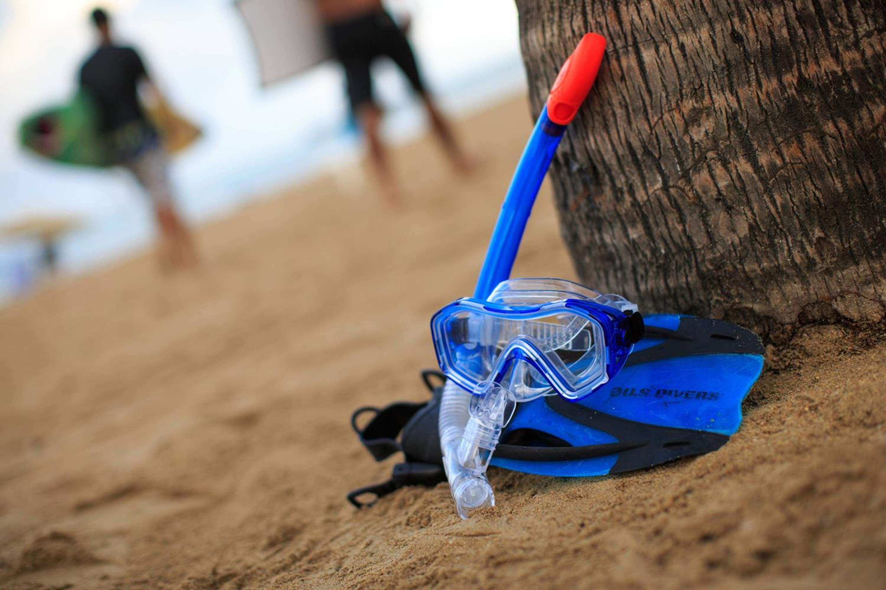Courtyard by Marriott Isla Verde Beach Resort - Property Image 118
