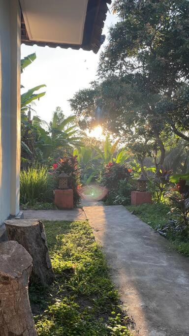 Desaka Bisma Ubud view 4