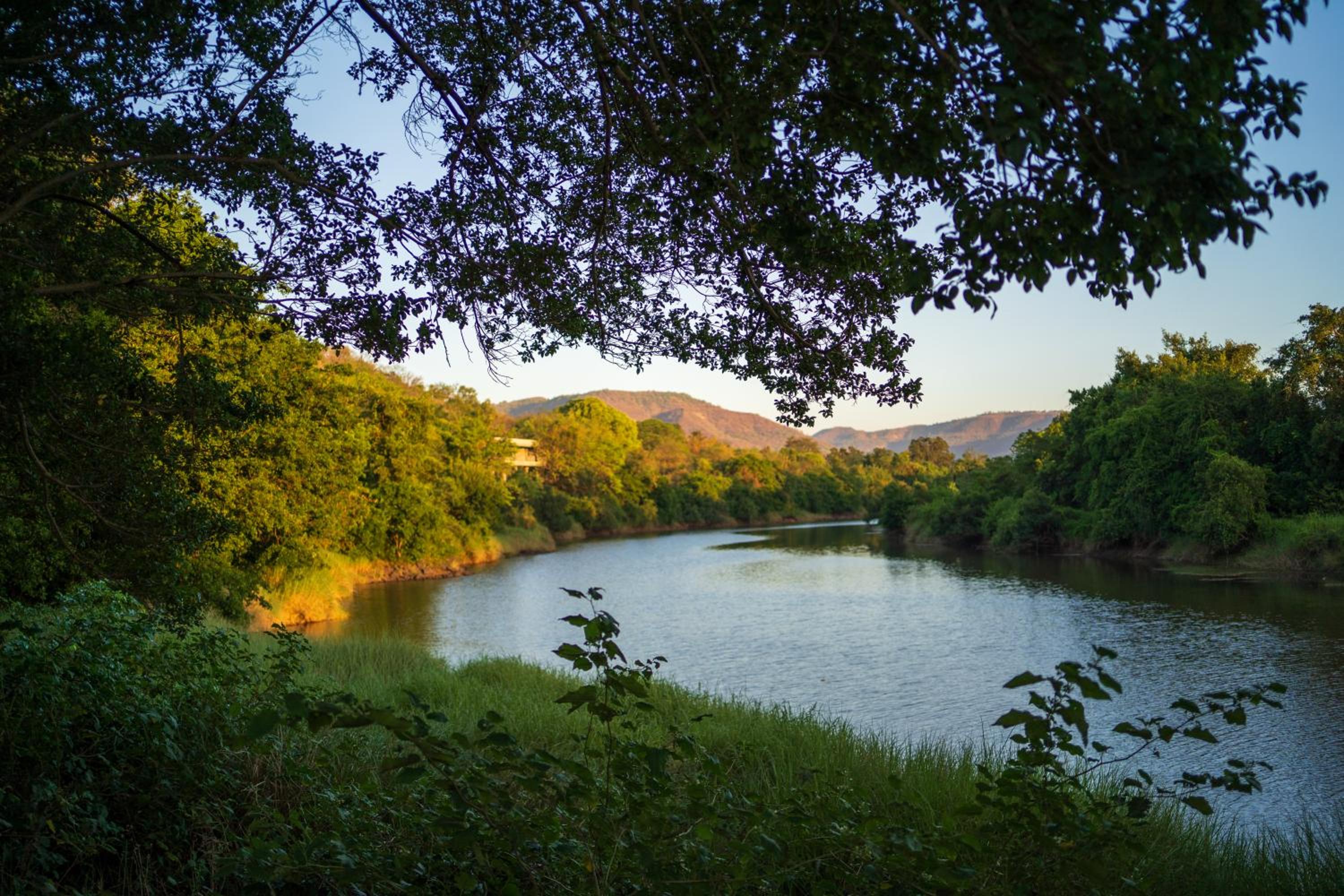 Golden Fields Resort