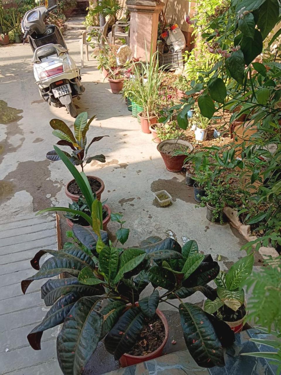 Vrinda Garden view 5
