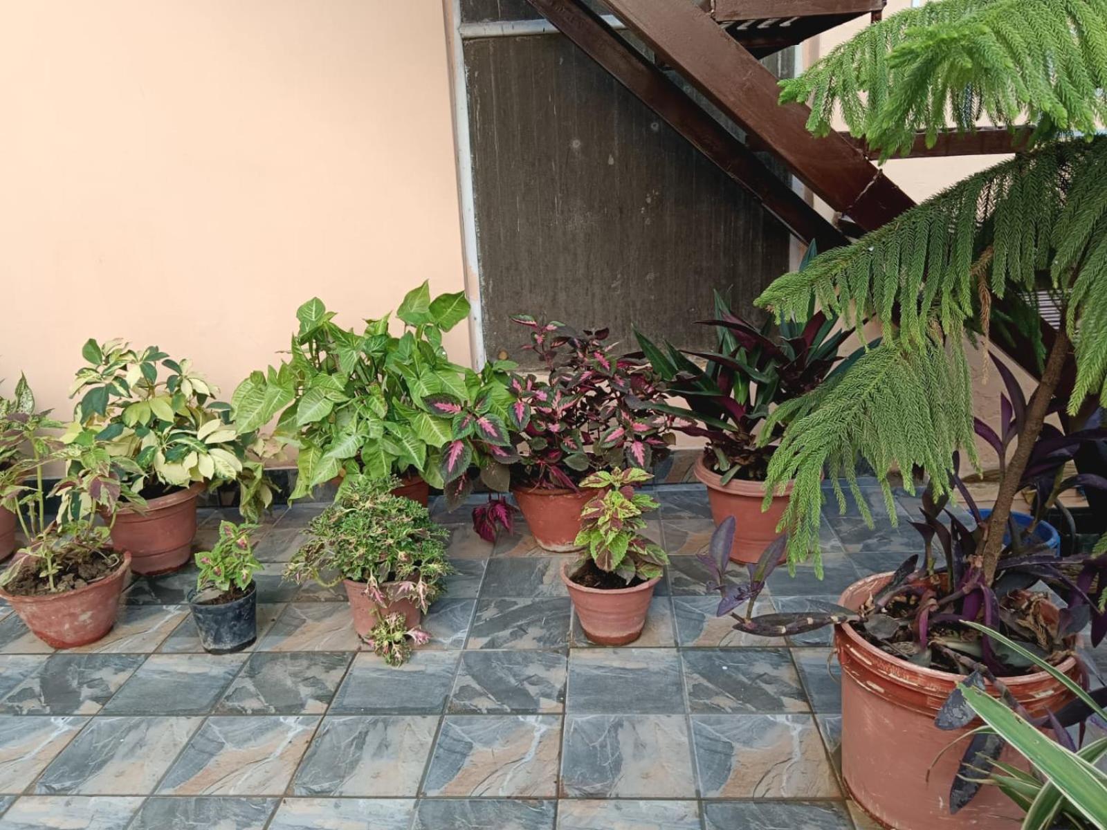 Photo 6