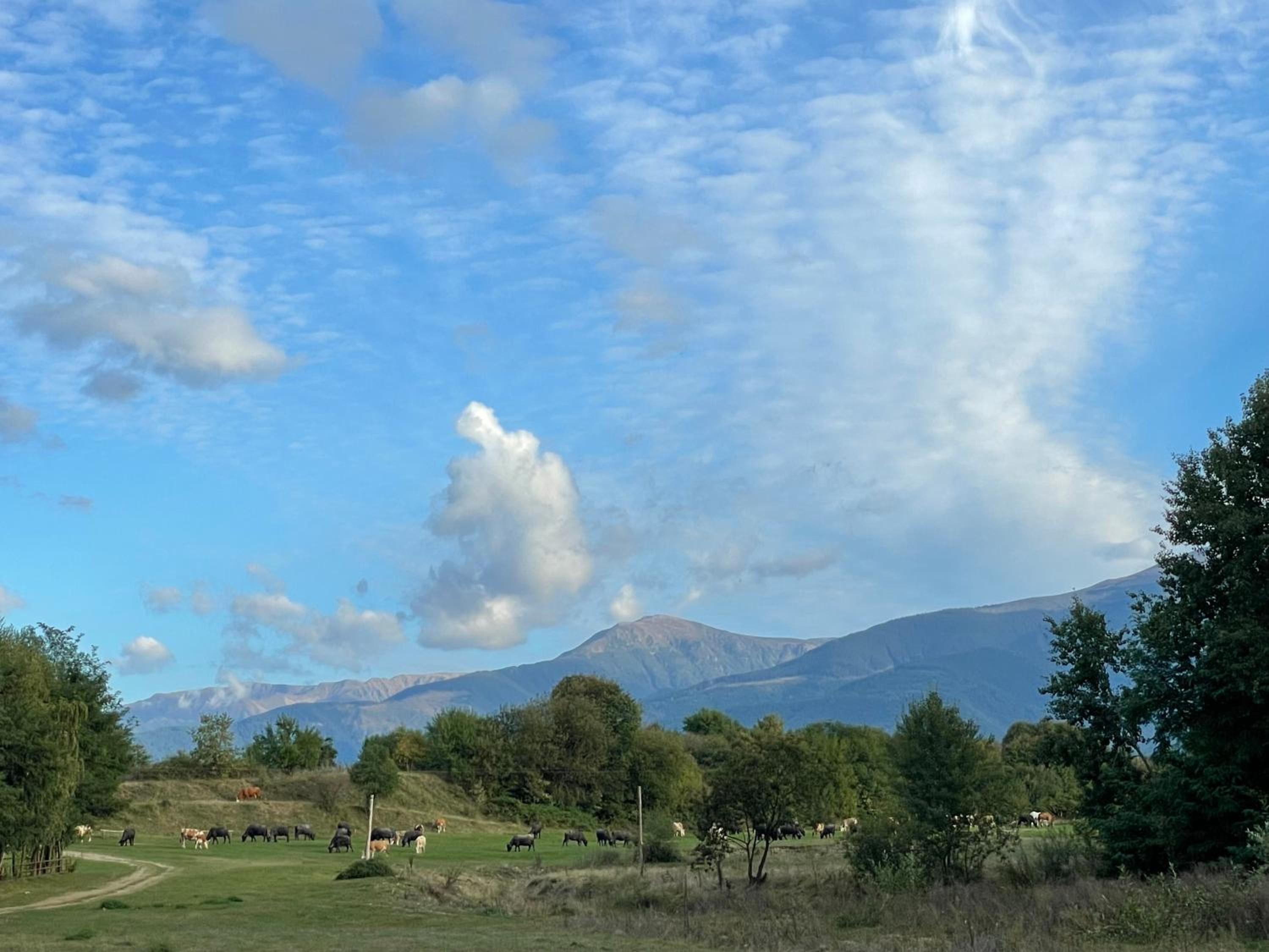 Căsuța din Drăgușel