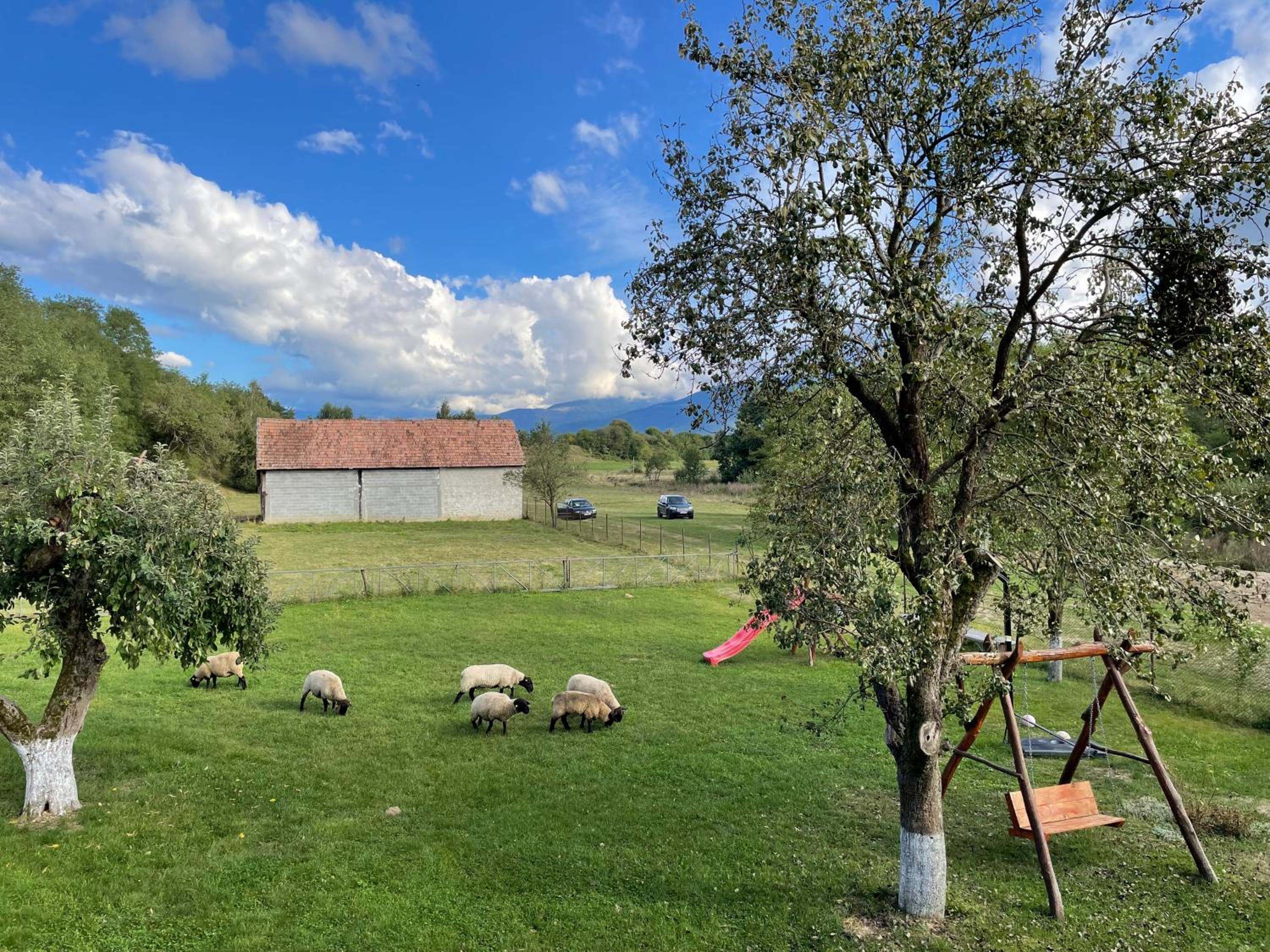 Căsuța din Drăgușel