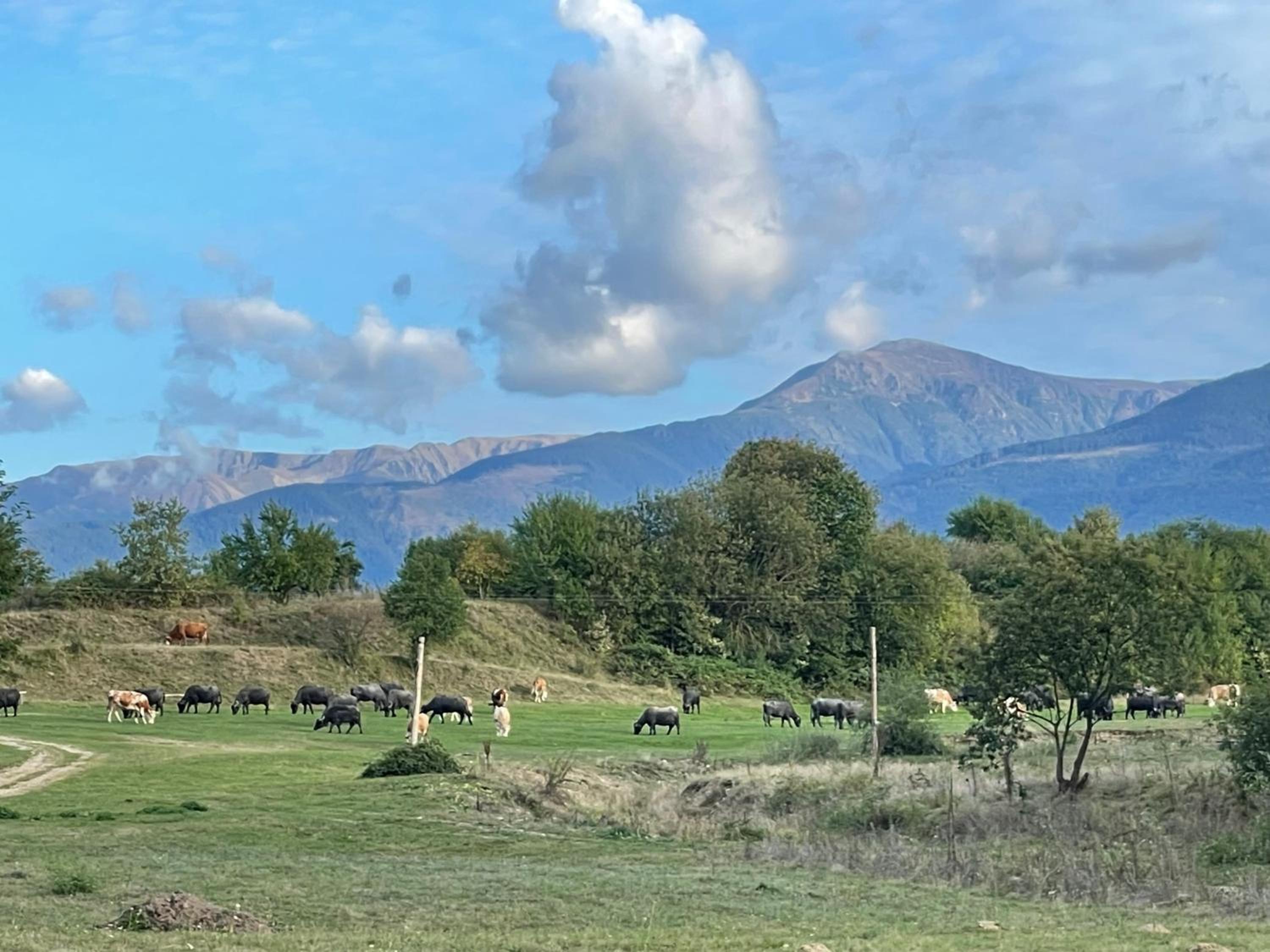 Căsuța din Drăgușel