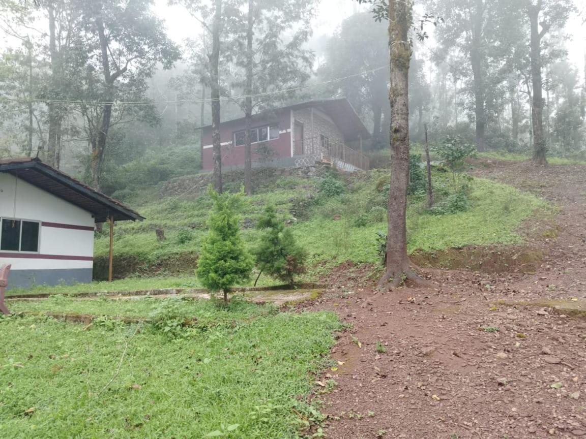 Mistynest Homestay