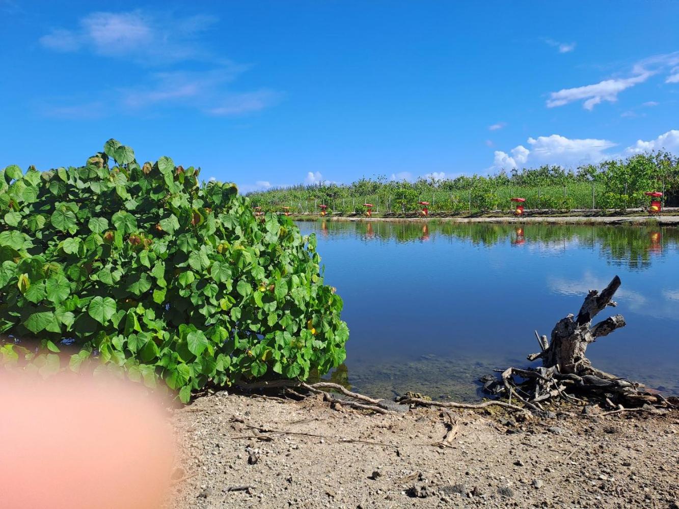 Dolce Vita Moorea du Lac view 3