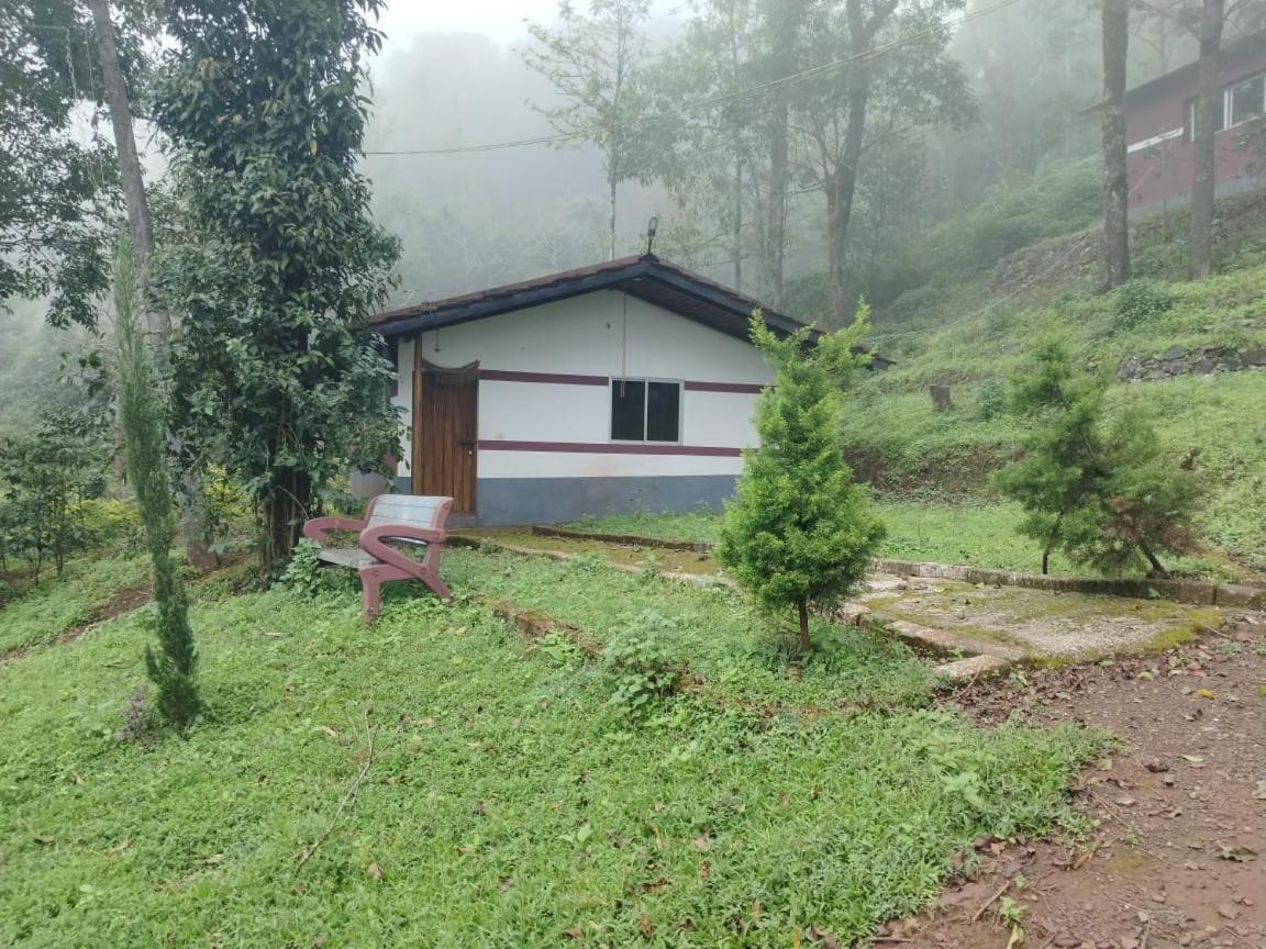 Mistynest Homestay