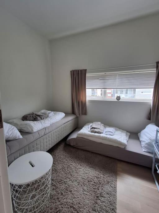 Newly renovated apartment with seaview