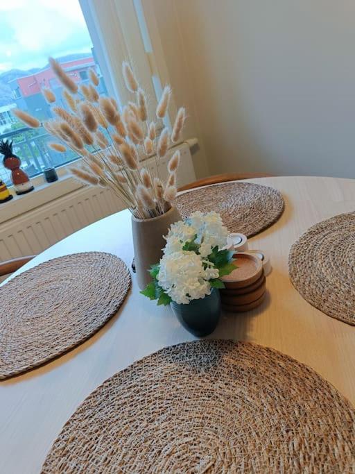 Newly renovated apartment with seaview