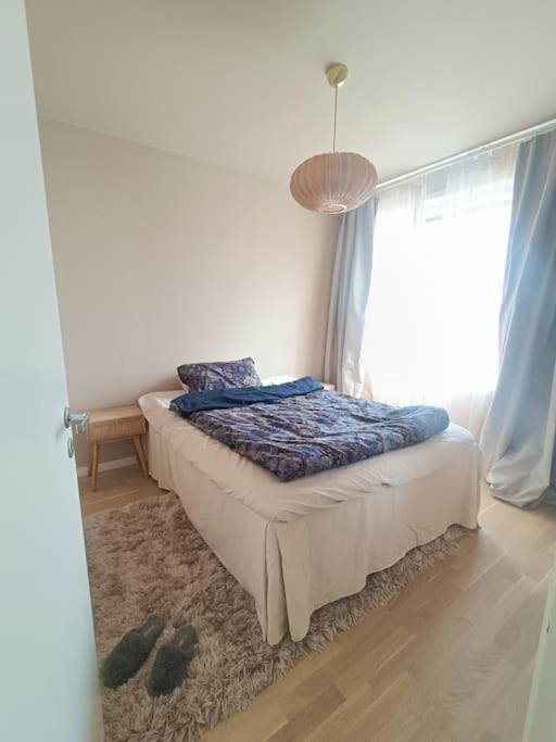Newly renovated apartment with seaview