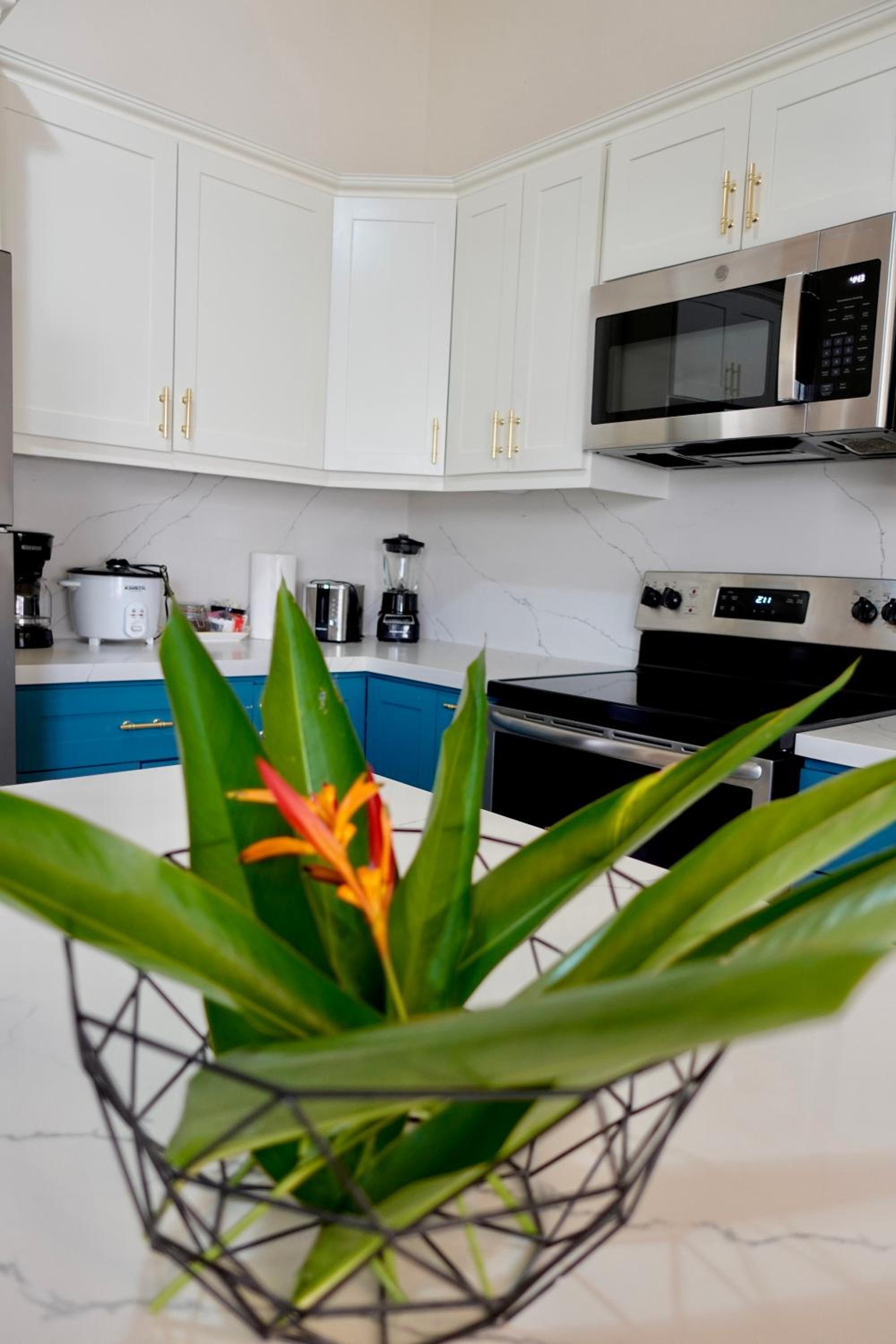 Turquoise Deep Dive Single Storey Condo