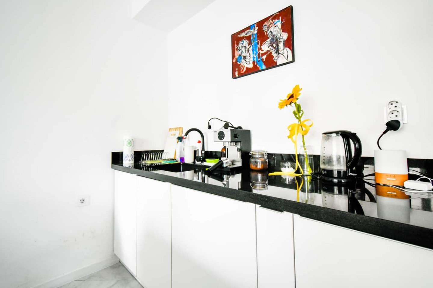 1BDR Quiet Str Vitoshka Area AC