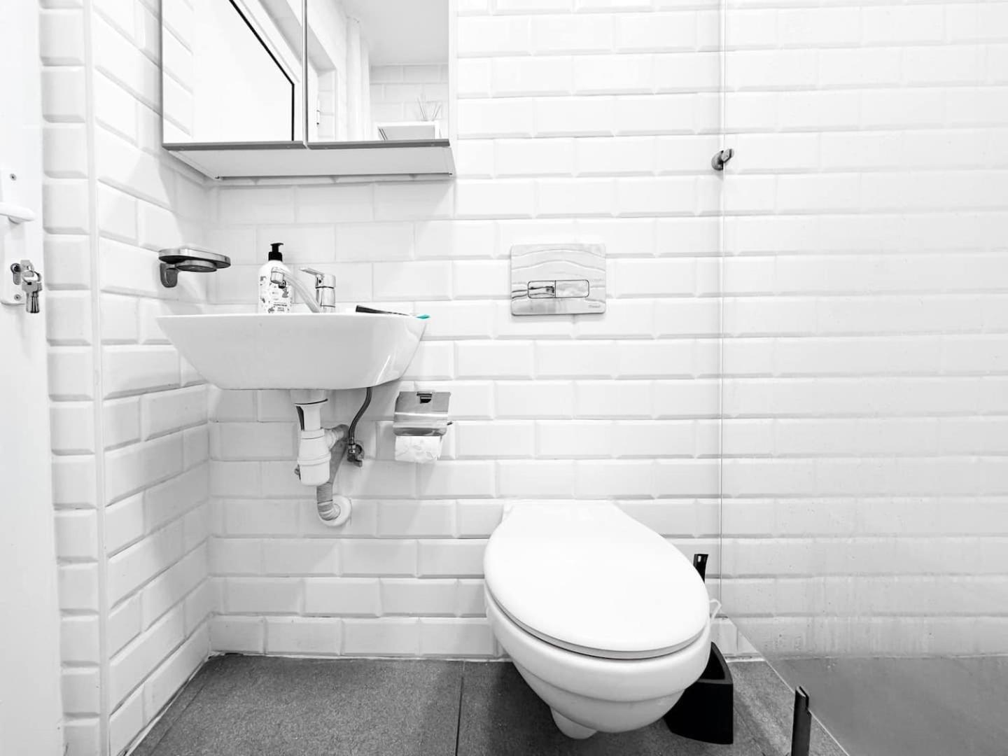 1BDR Quiet Str Vitoshka Area AC