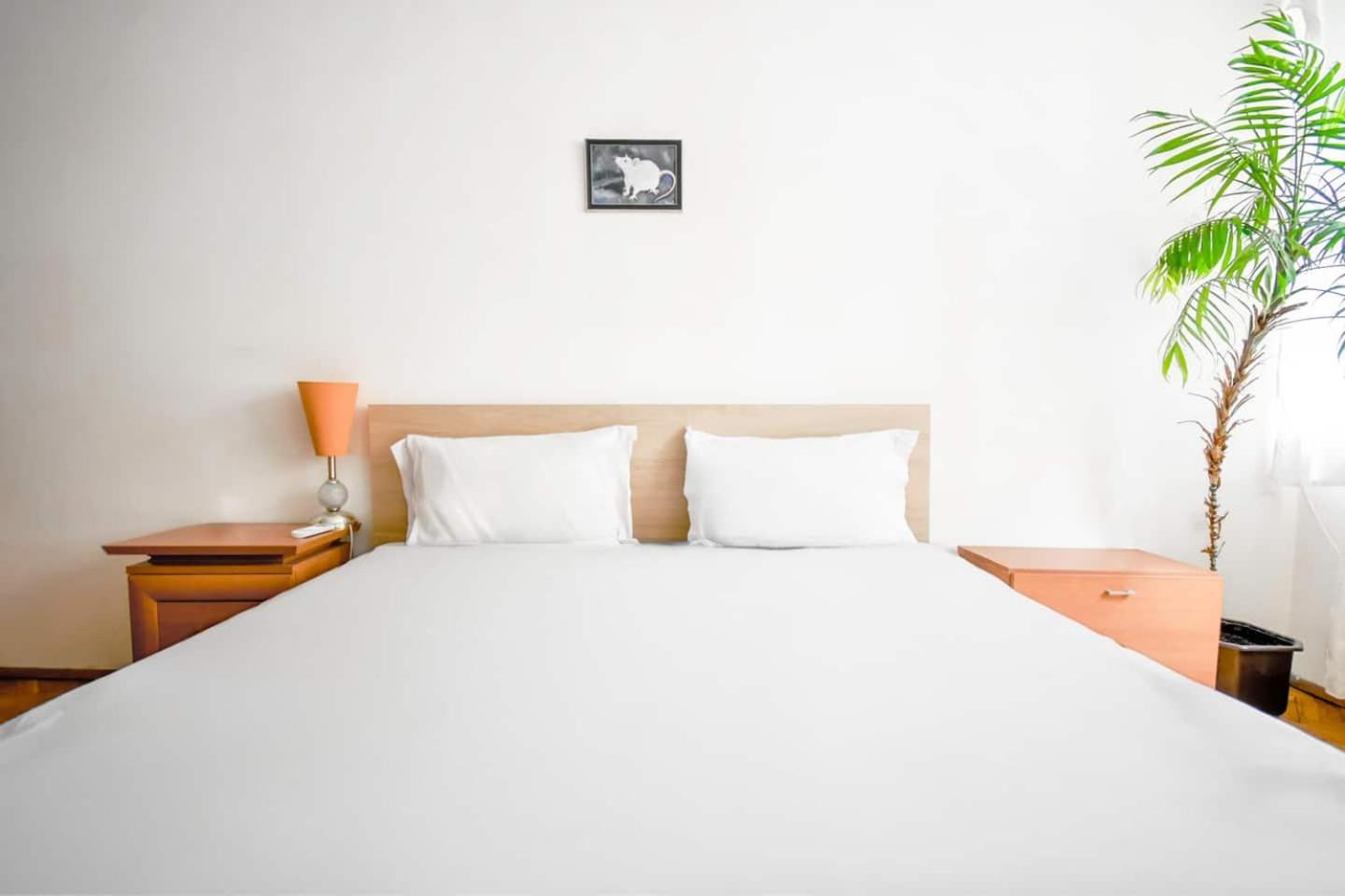 1BDR Quiet Str Vitoshka Area AC