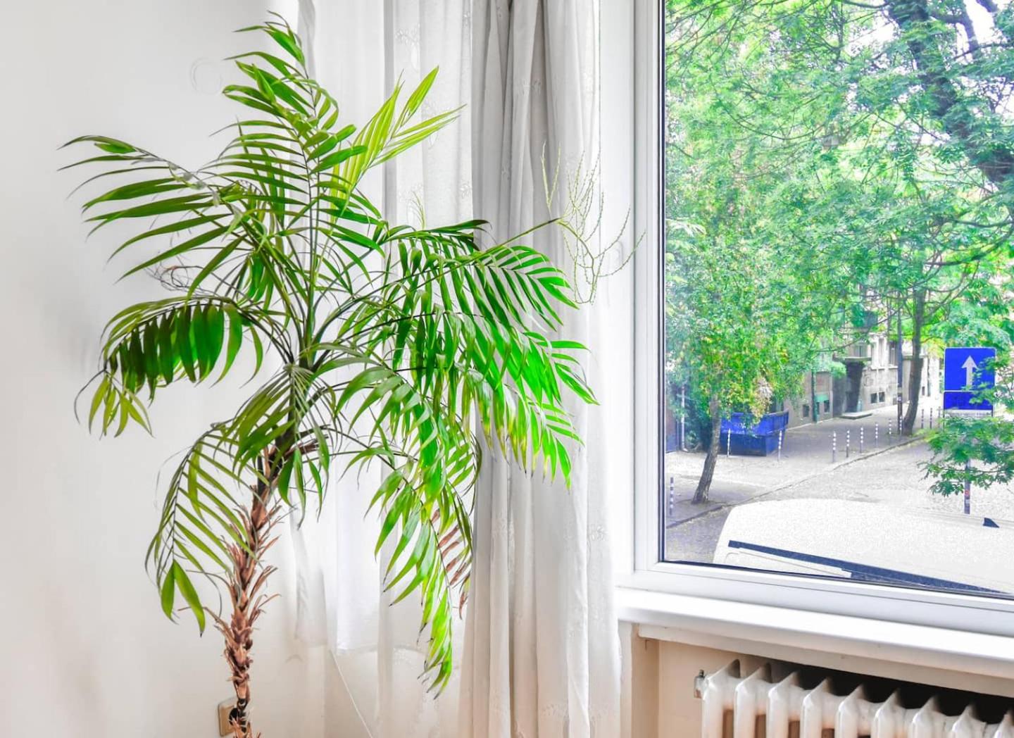 1BDR Quiet Str Vitoshka Area AC