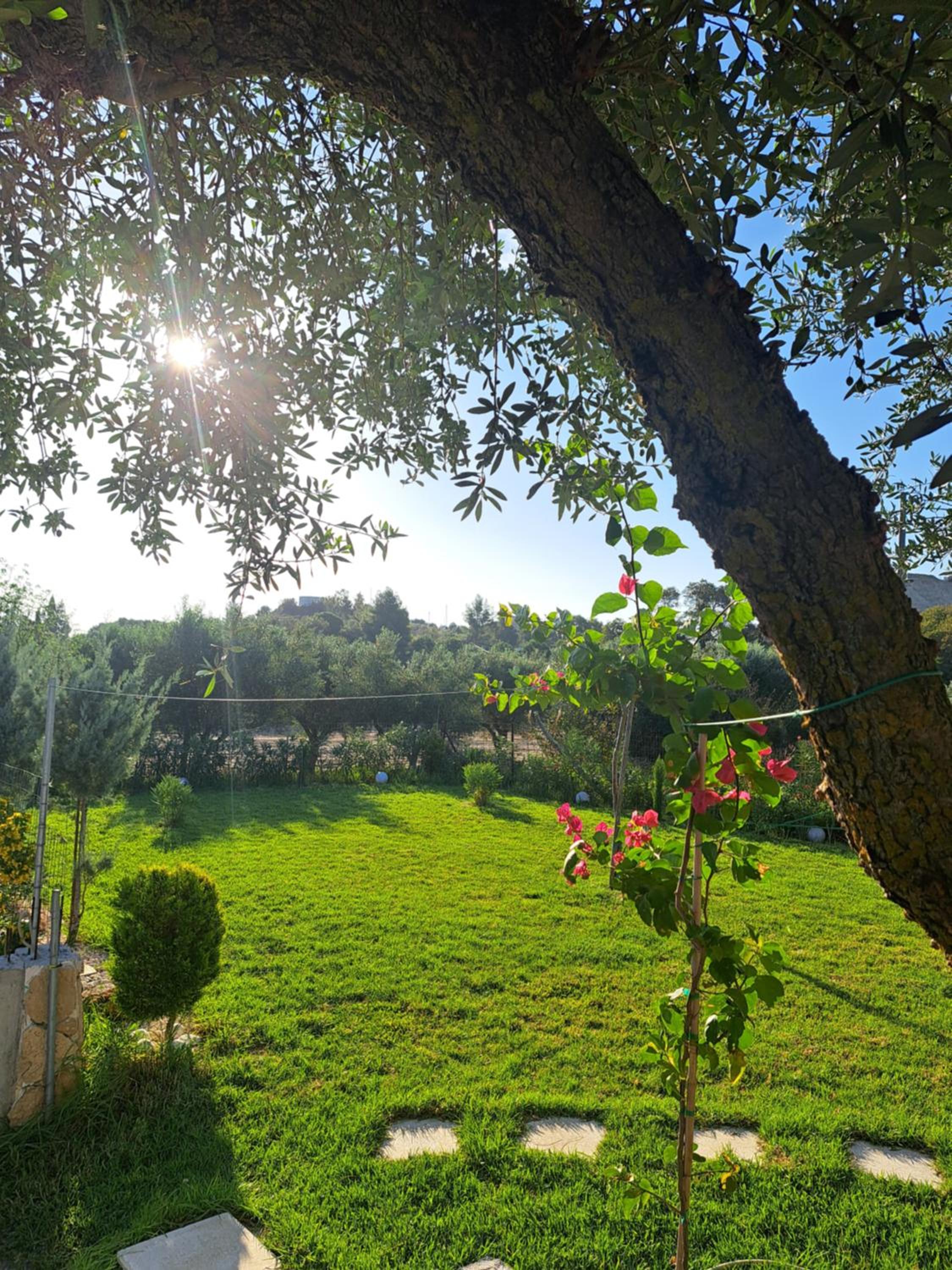 Villa secrecy photo 5