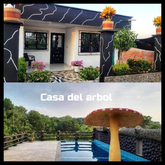 Parcela - Casa del árbol