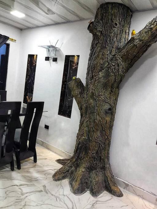Parcela - Casa del árbol