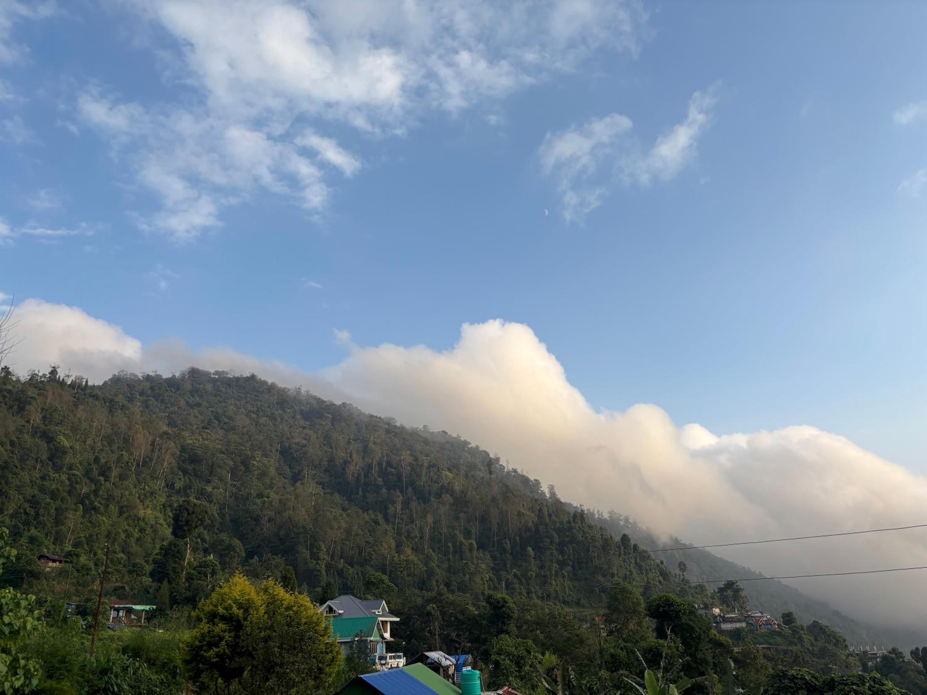 Nature's Nest Homestay view 4