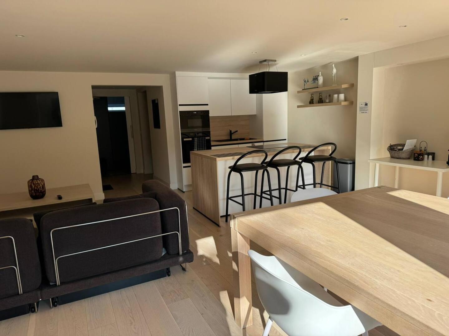 Modern Flat With Garden