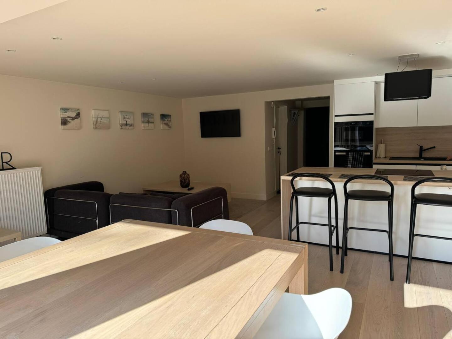 Modern Flat With Garden