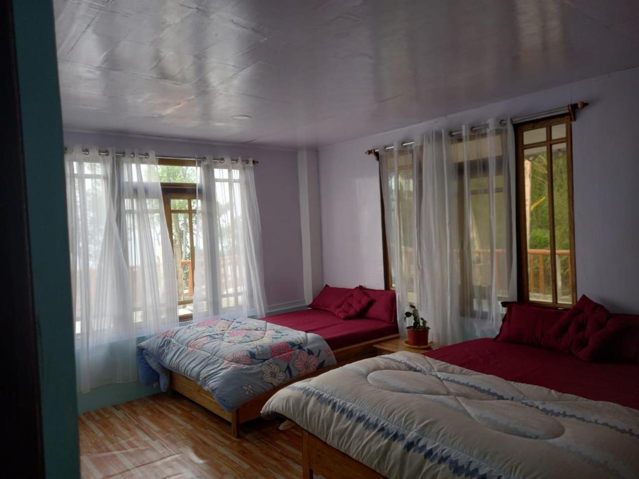 Nature's Nest Homestay view 5