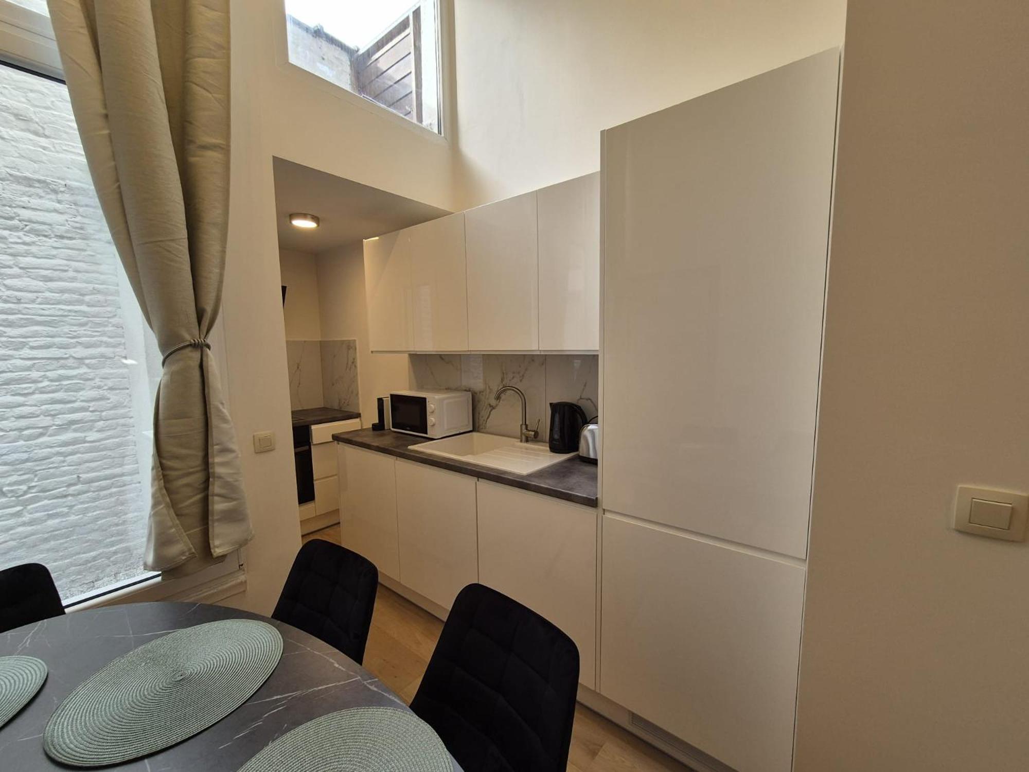 Tasson Snel apartment center of Brussels