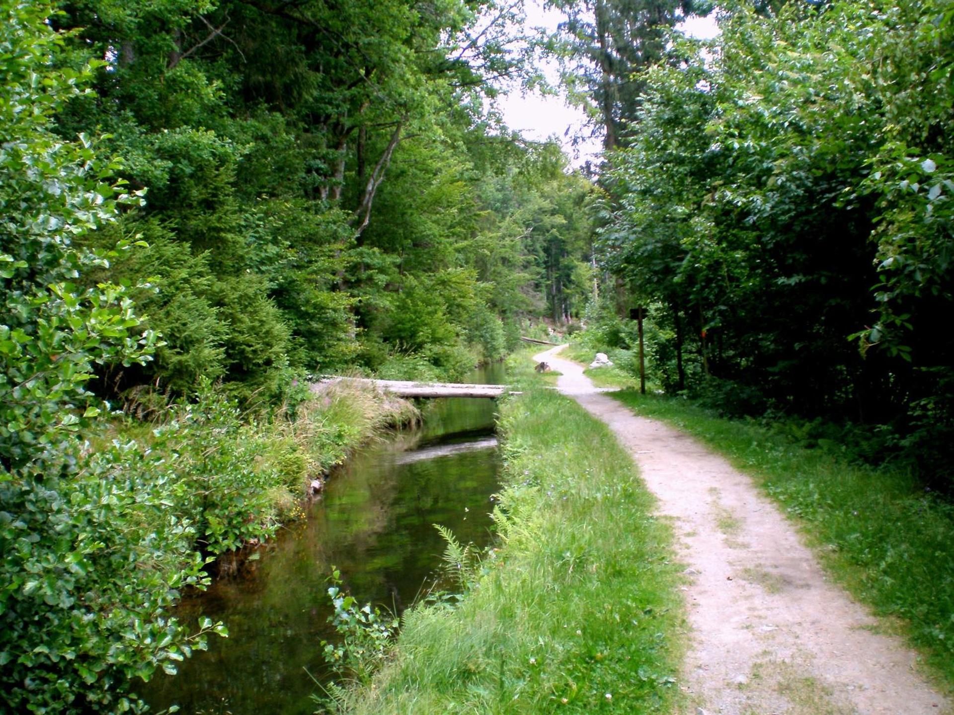 Gammerhof - Bauernhofurlaub in Waldkirchen