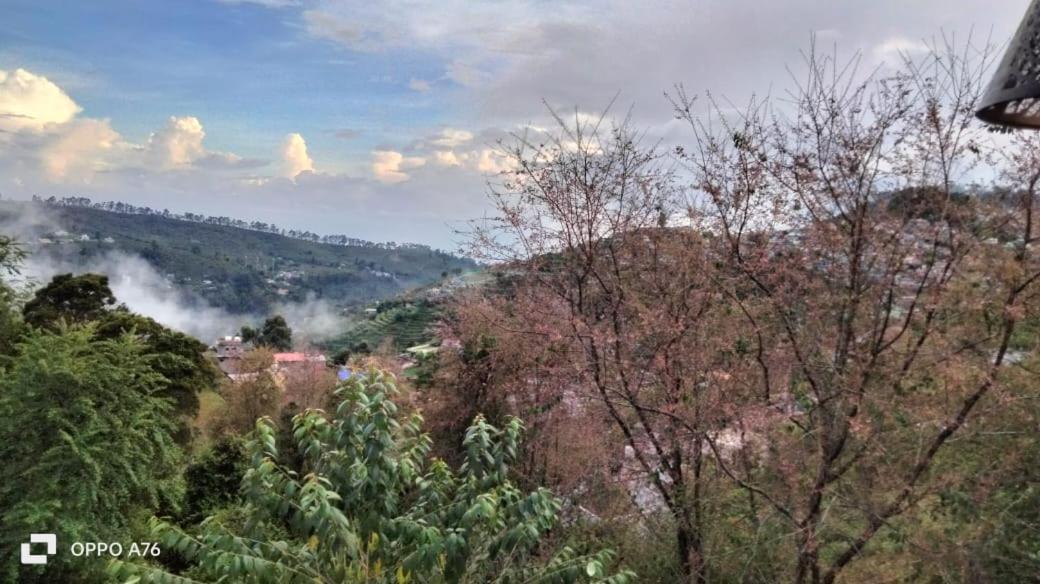 Western Ghats homestay view 3