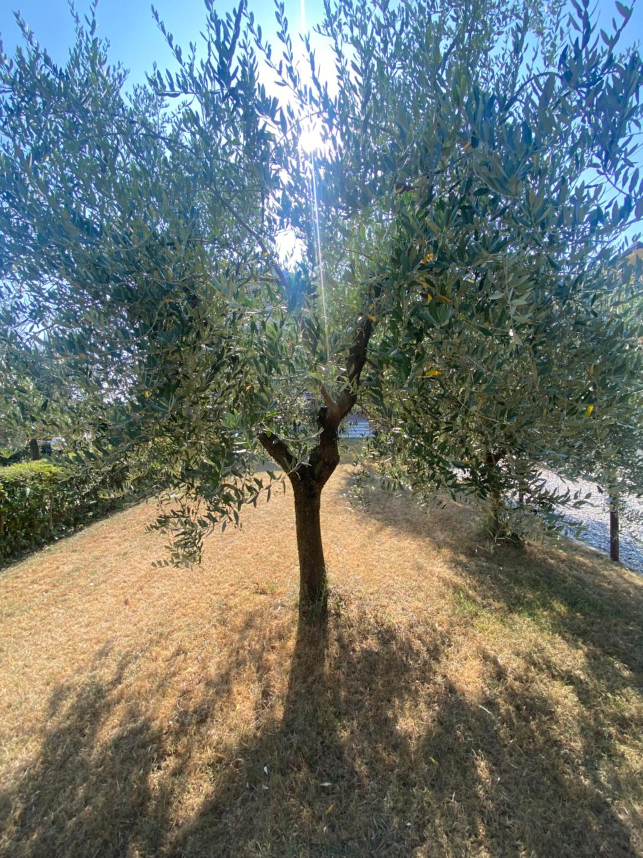 Photo 51