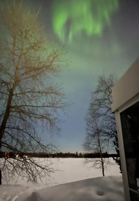 Stella Borealis