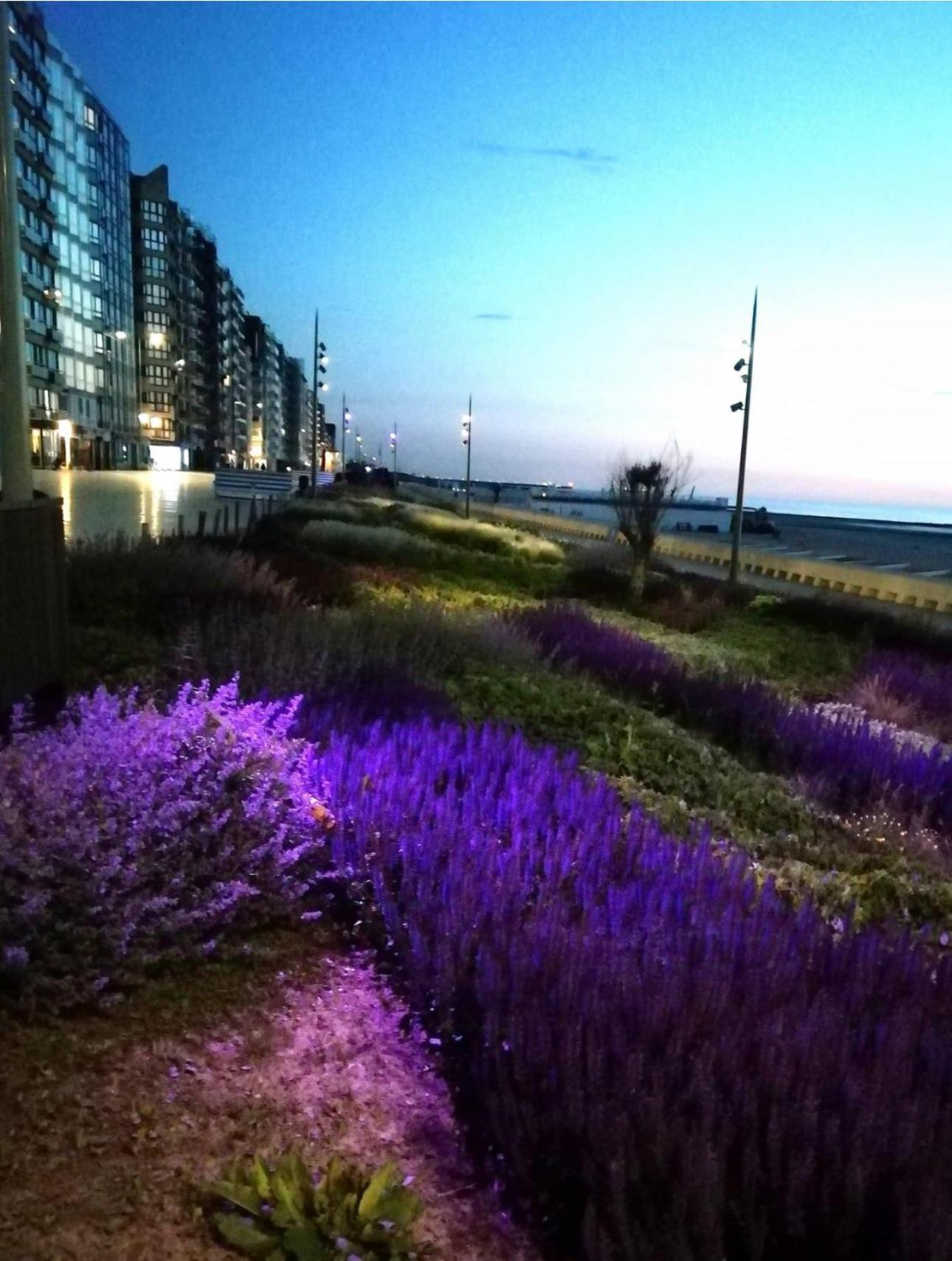 West-end Beach
