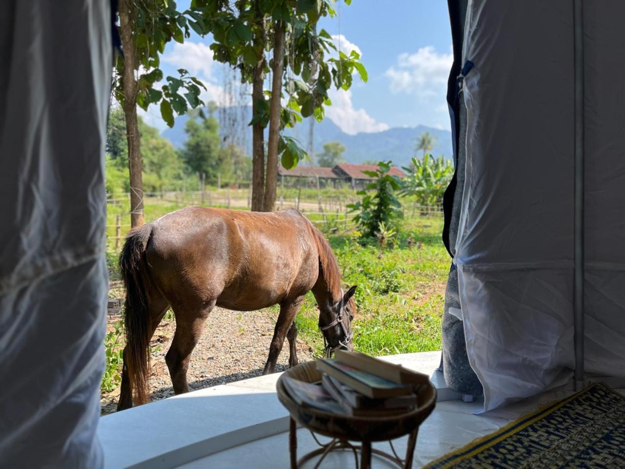 NamKhan Horse Stable view 4