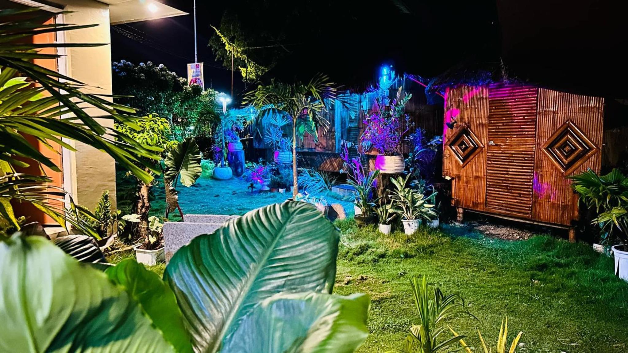 Red Palm Inn - Kubo room with wifi view 3